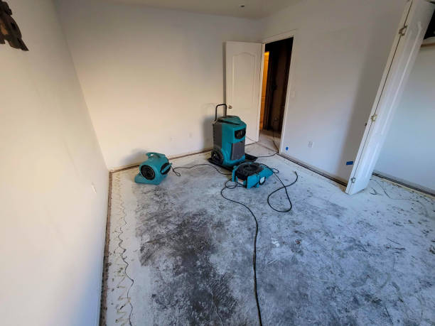 Best Flood damage cleanup  in Leonia, NJ