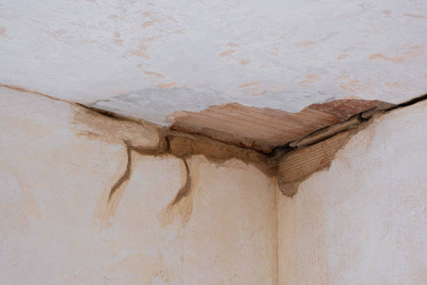 Best Water damage cleanup near me  in Leonia, NJ