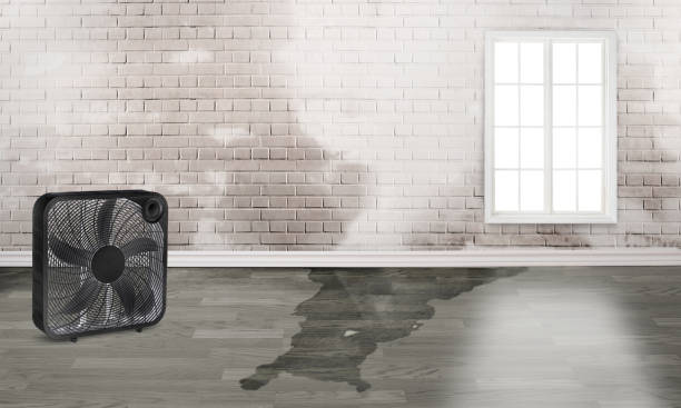 Best Water damage restoration near me  in Leonia, NJ