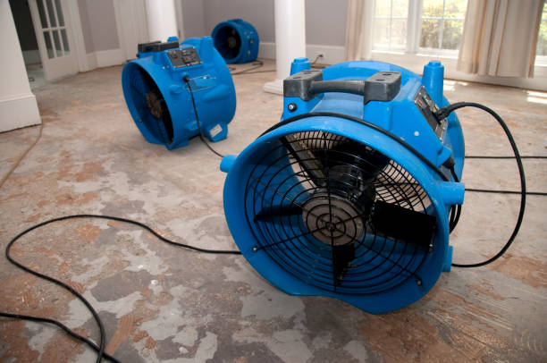Best Sewage cleanup and water damage restoration  in Leonia, NJ