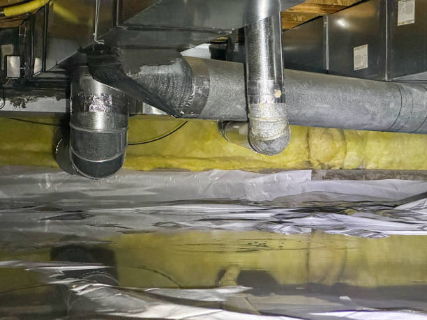 Best Water damage restoration near me  in Leonia, NJ
