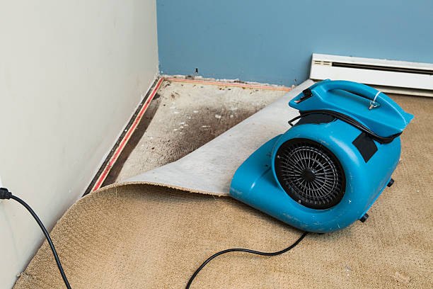 Best Carpet water damage restoration  in Leonia, NJ